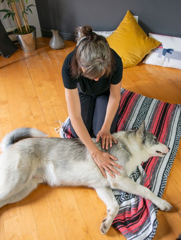 , Le massage canin,  c&rsquo;est pas sorcier !, Länkē