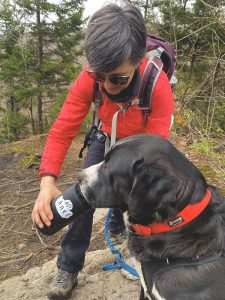 , Initiation à la cani randonnée au Mont Chauve, Länkē