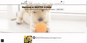 Baxter & Bella, Découvrez Baxter &#038; Bella chez Lanke : Qualité et Innovation pour Votre Chien